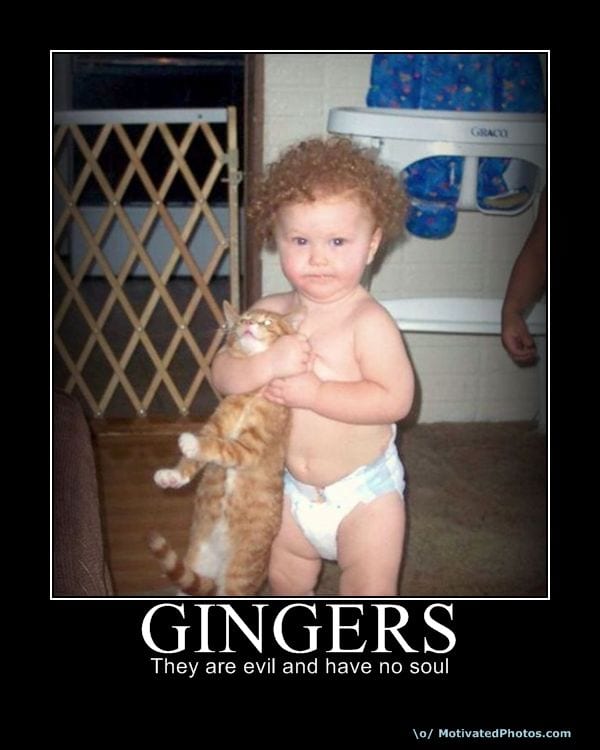 gingers-no-soul-sign.jpg