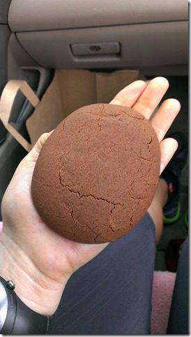 chocolate cookie in the car 450x800 thumb Thoughts from my Long Run