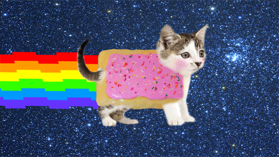 flying-rainbow-cat-poptart.gif