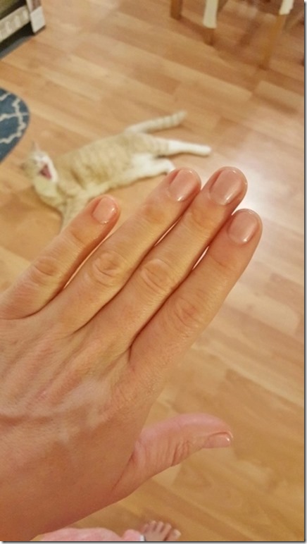 nails and cat yawn (360x640)
