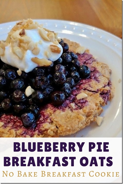 blueberry pie breakfast oat cookie (1)