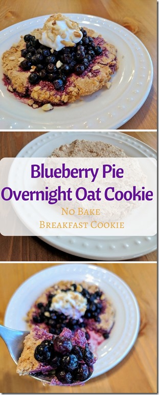 blueberry pie oatmeal cookie no bake