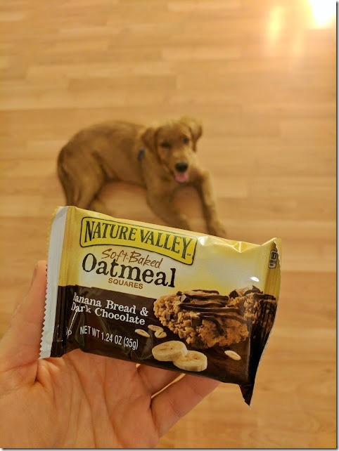 snacks and a puppy (478x638)
