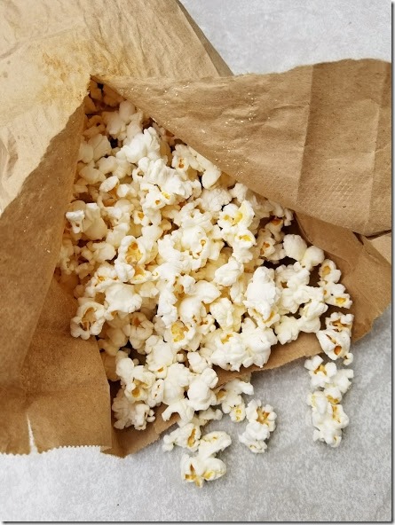 diy microwave popcorn bags 7 (441x588)