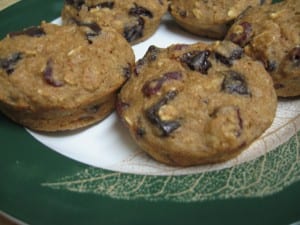 cranberry chocolate chip muffins