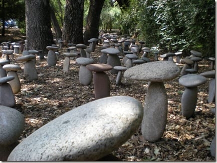 rocks at the vineyard