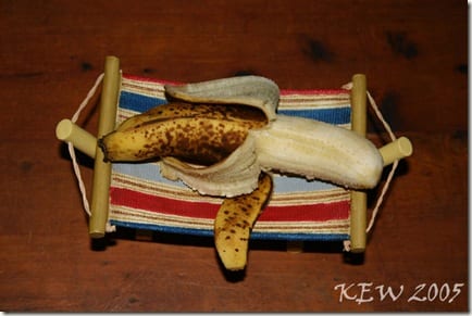 banana_hammock1