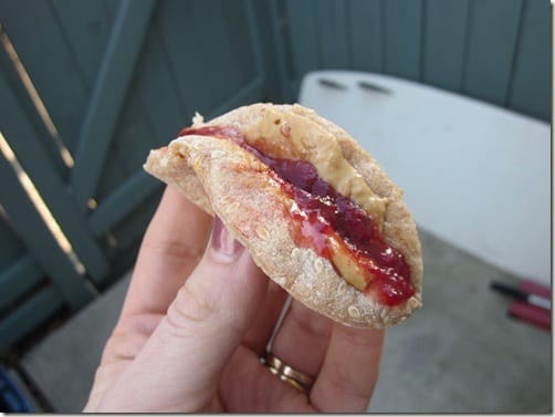 Peanut Butter and Jelly Tacos