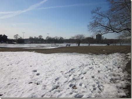 Charles River ice