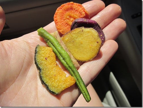 roadtrip veggie chips