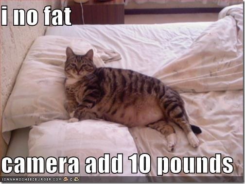 camera adds 10 pounds