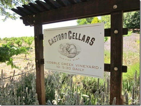 castoro cellars