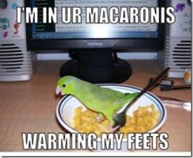 in your macaronis with my feets