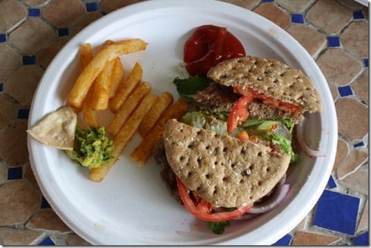 turkey burger and fries