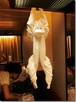 towel monkey