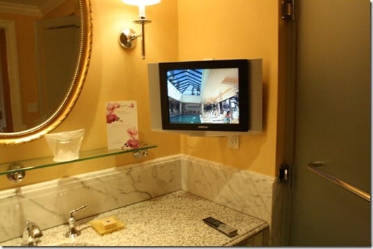 TV in bathroom