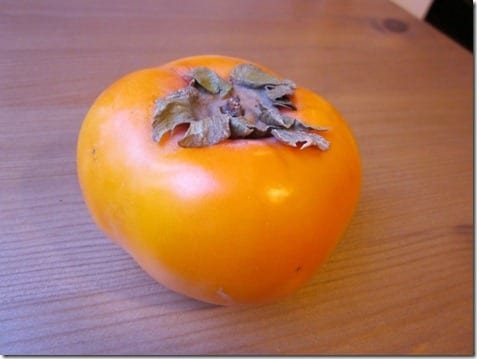 persimmon