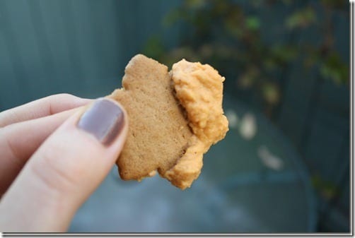 pumpkin on cookie