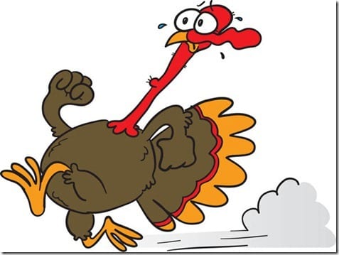 running turkey