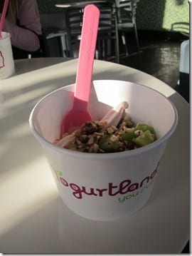 yogurtland