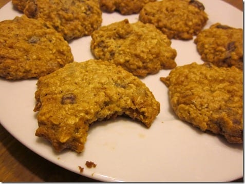 chocolate chip oatmeal cookies