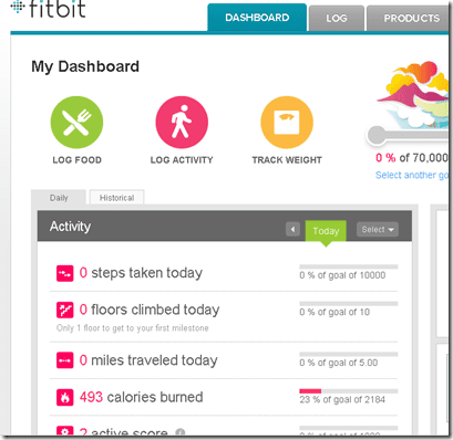 fitbit dashboard