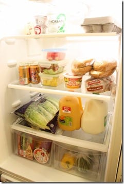 full fridge