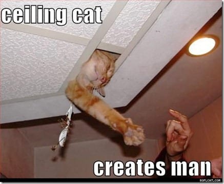 ceiling cat