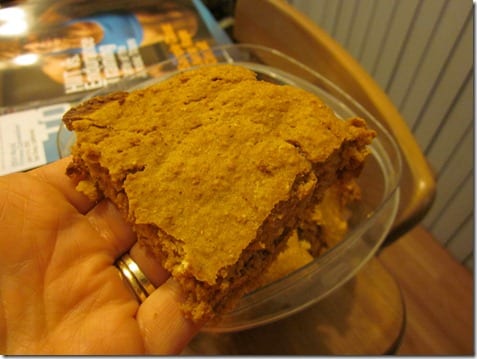 pumpkin protein bars