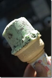 mint n chip ice cream