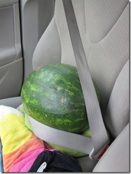 watermelon in a seatbelt