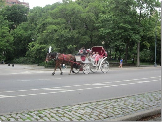 horse and carriage