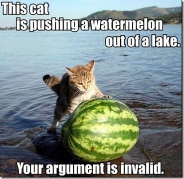 cat pushing watermelon
