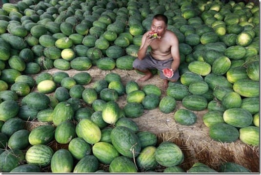 watermelon heaven