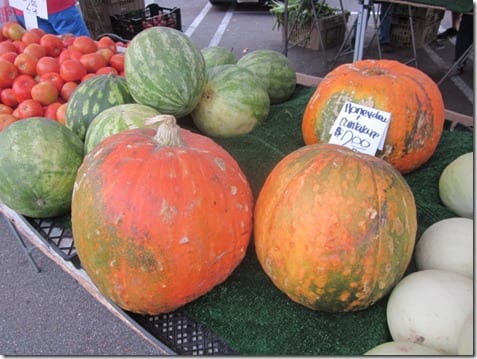 farmers market pumpkins