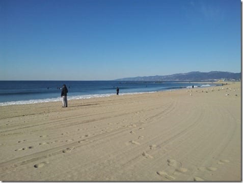 venice beach