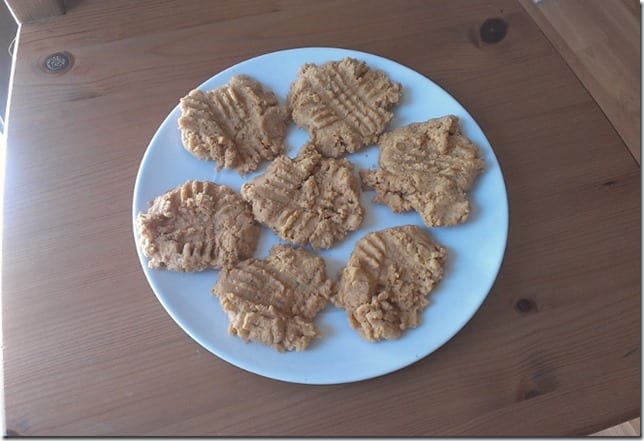 Peanut Butter Protein Cookie Recipe 