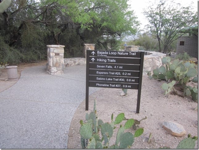 sabino canyon