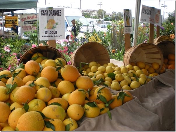 farmer's market