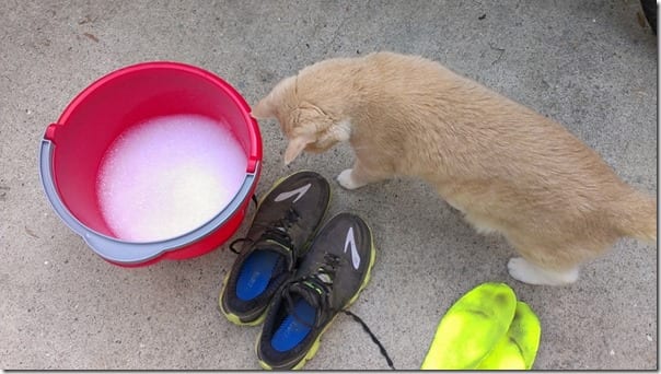 how to wash running shoes