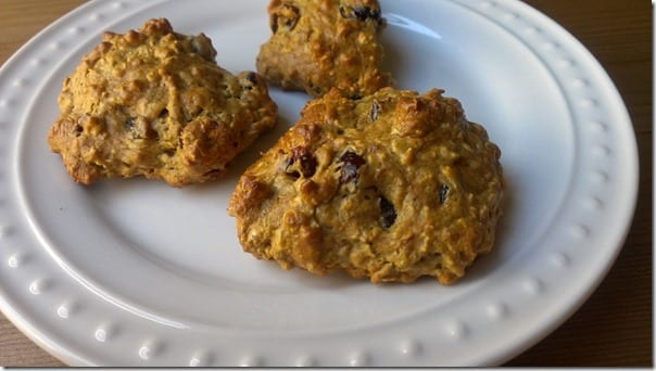 healthy oatmeal cookie recipe with protein powder final