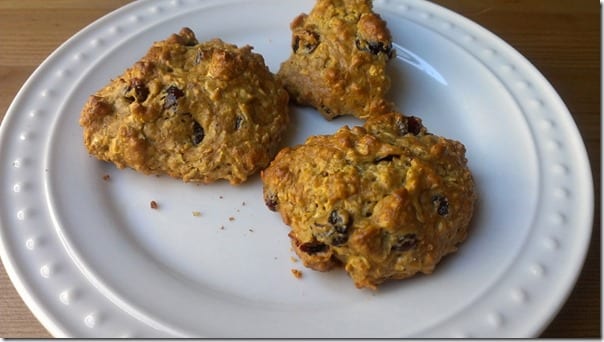 healthy oatmeal cookie recipe with protein powder