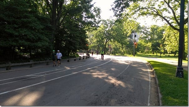 run in central park lake