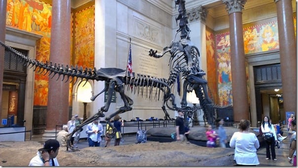 the natural history museum in new york