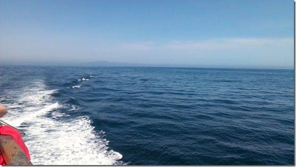 Anacapa Island channel island