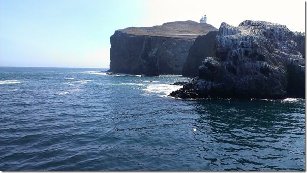 Anacapa Island channel island