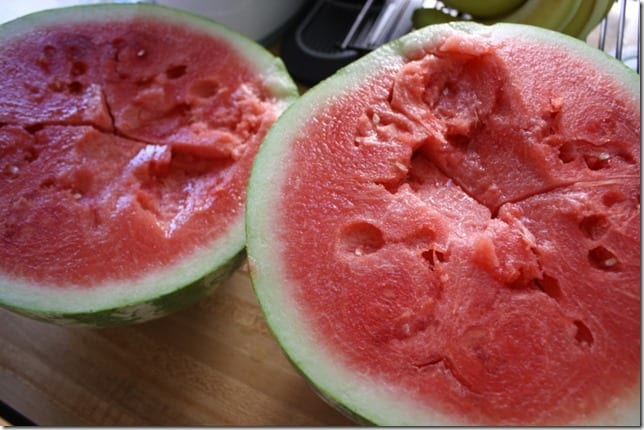 watermelon cupcakes recipe