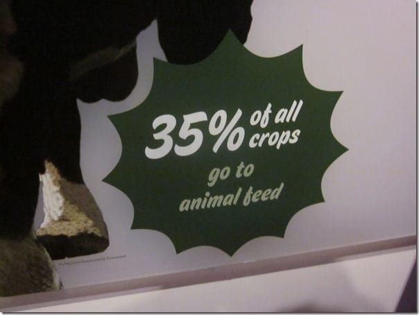 35 of all crops go to feeding animals