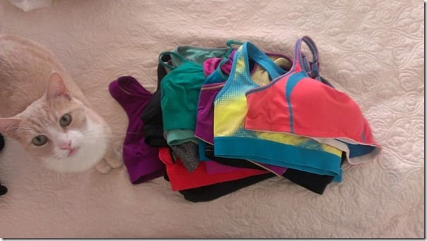 vegas loves sports bras (800x450)