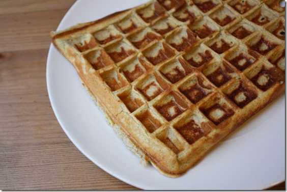 protein waffle recipe for one